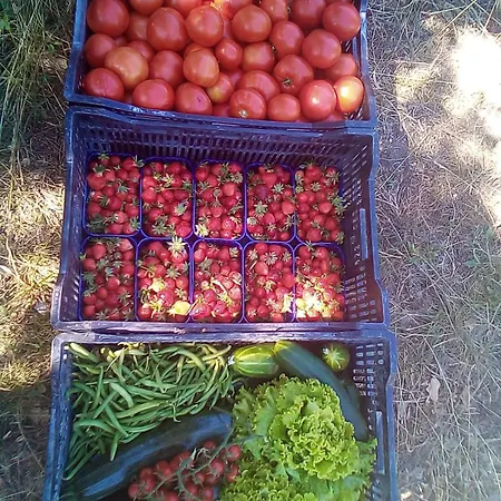 Сasa de vacaciones Kuca Za Odmor Mirakul