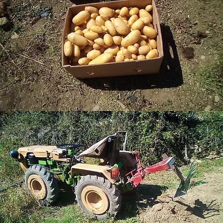 Kuca Za Odmor Mirakul