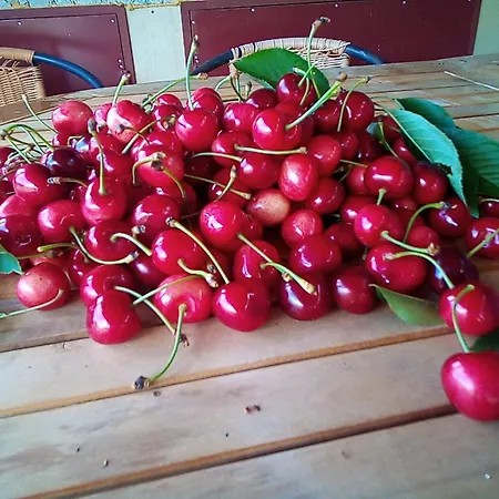 Сasa de vacaciones Kuca Za Odmor Mirakul Tugare