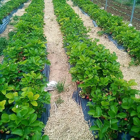 Kuca Za Odmor Mirakul Сasa de vacaciones Tugare